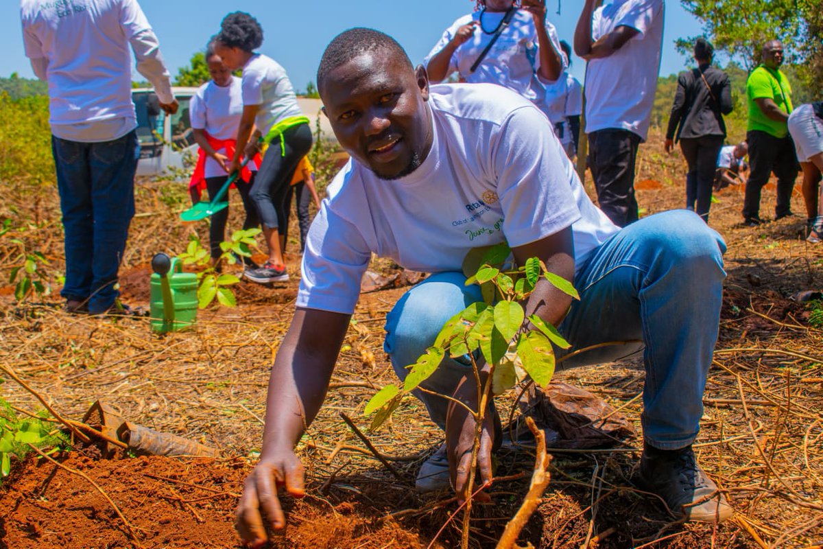 Ecobodaa Mobility tweet media