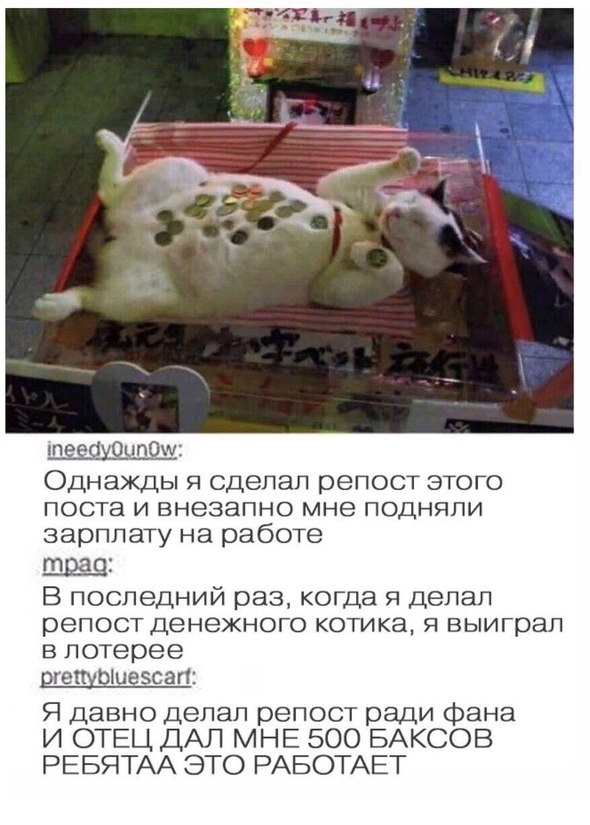 Напоминаю, что денежный котик всегда работает! Сейчас он многим нужен, поэтому держите! 💜 Репост котика всегда неизменно сулит финансовые поступления 🥰