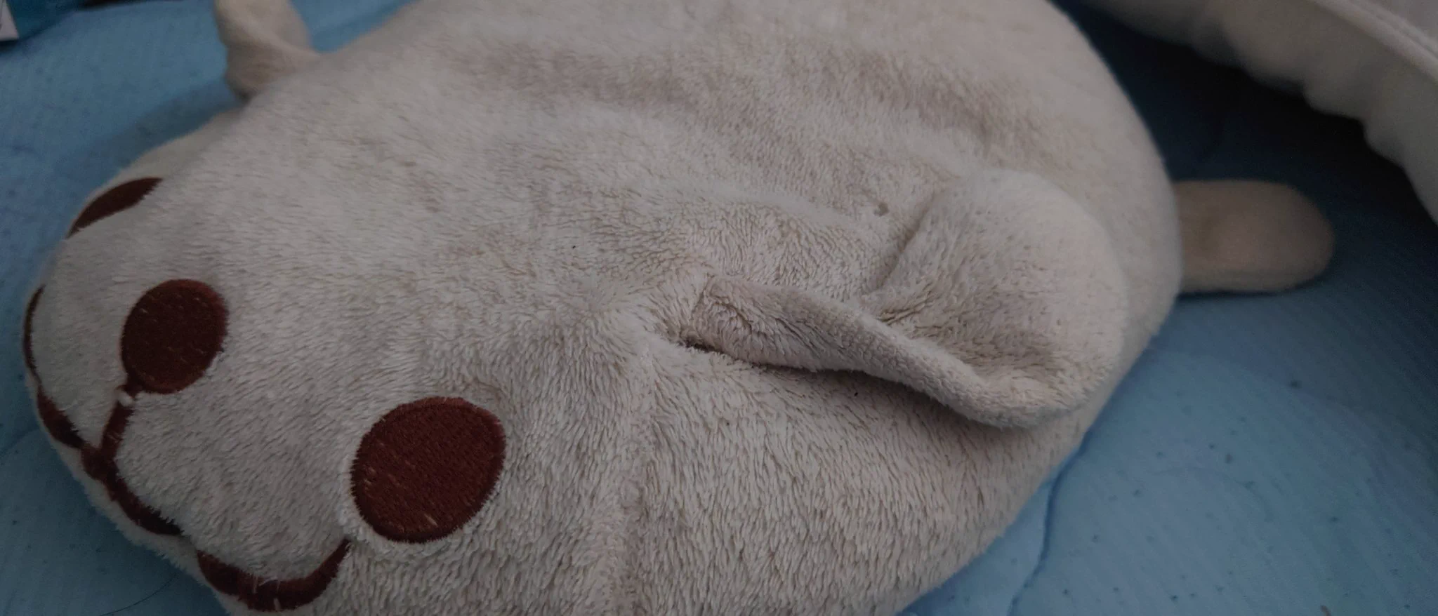 @eshi_ko 俺の相棒 