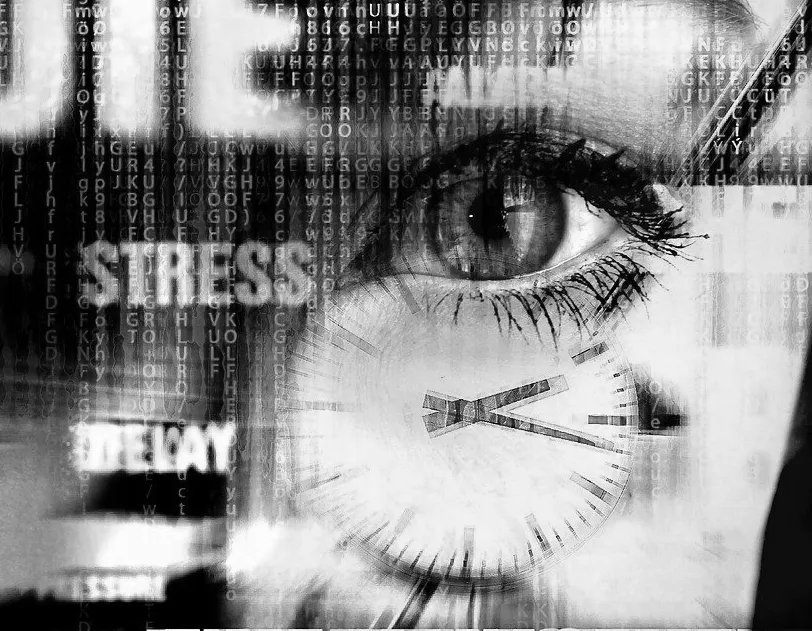 Andy Straka tweet media