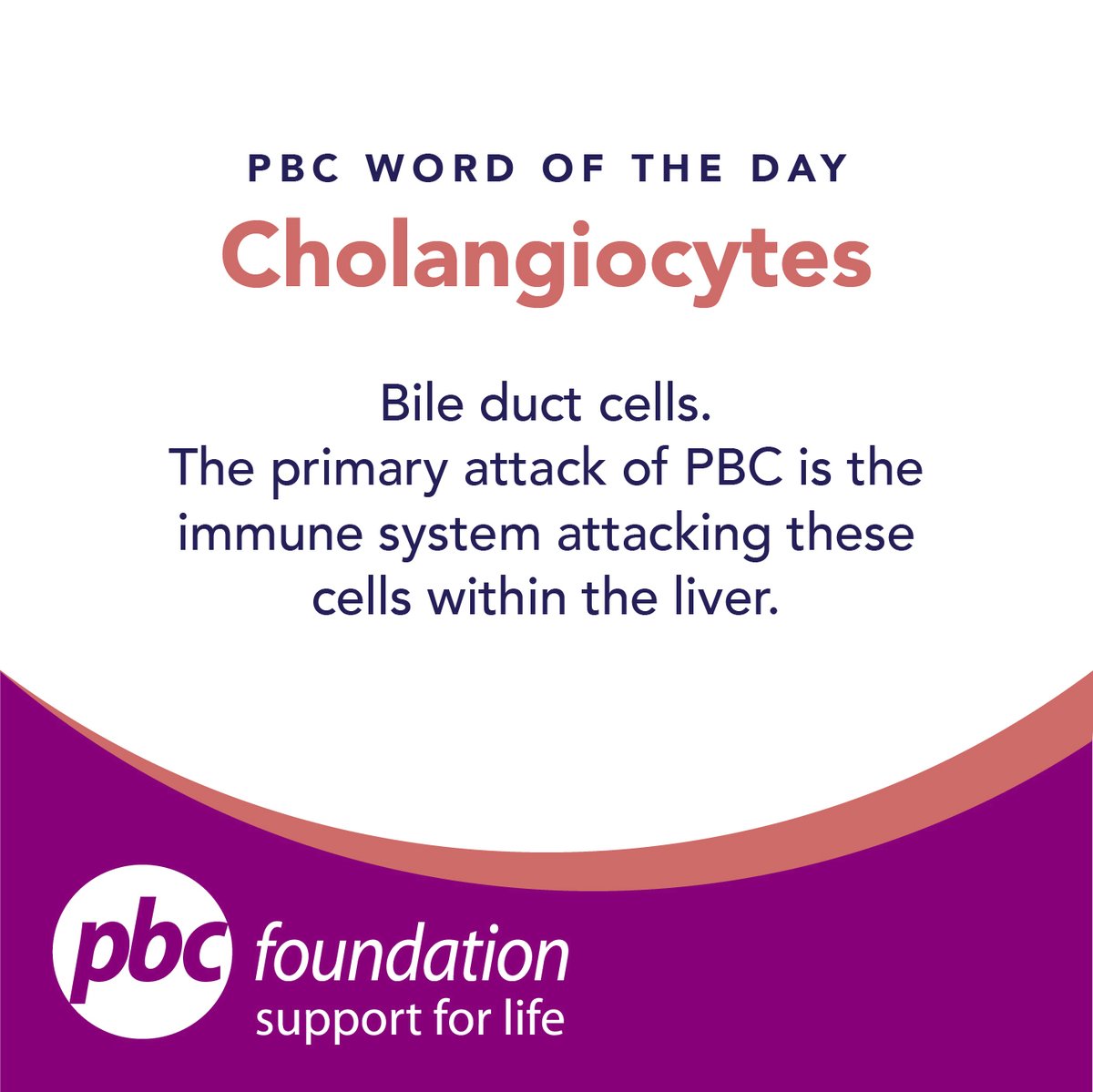 PBCFoundation's tweet image. Our word of the day for more #PBC related information visit our website here: ow.ly/1WY150KQktO #PBC #acurate #uptodateinfo