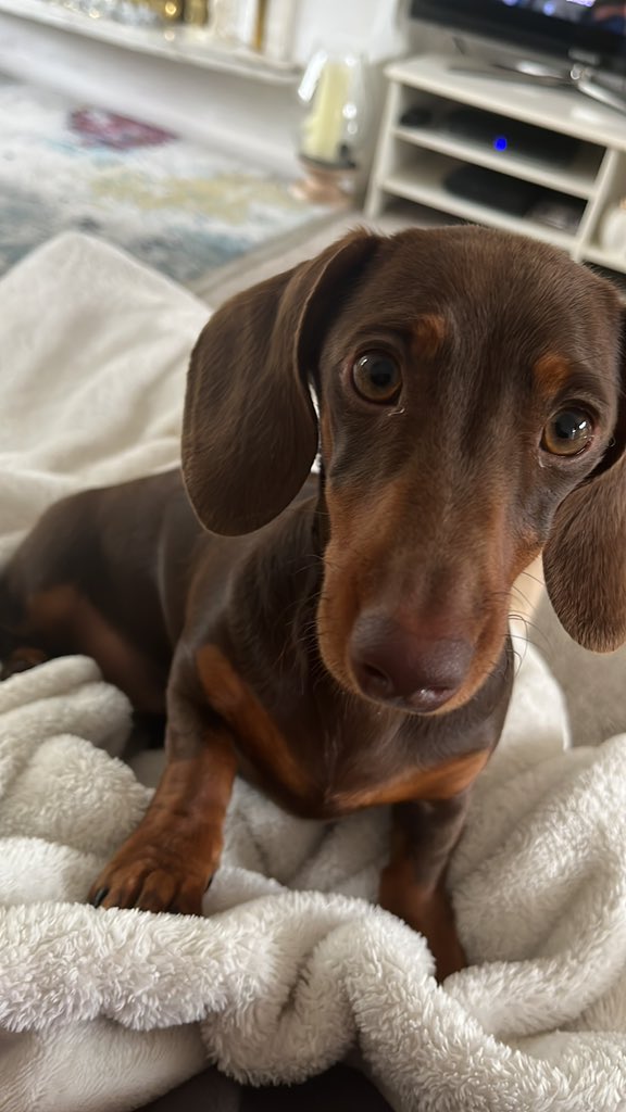 Today is me and you cuddling