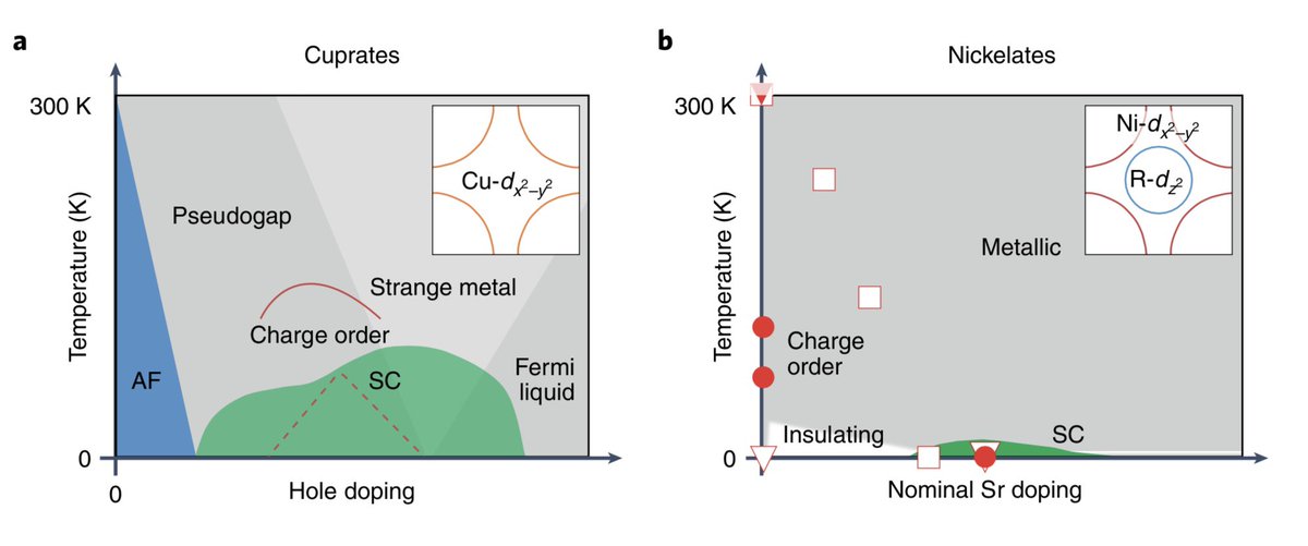 Fresh off the press: news &amp; views article in <a href="/NatureMaterials/">Nature Materials</a> about the recent discovery of charge order next to the superconducting phase in layered nickelates nature.com/articles/s4156…