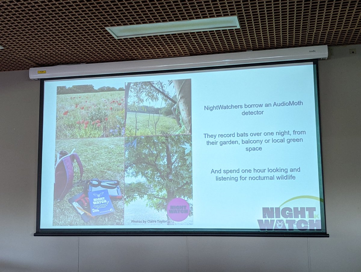 _BCT_'s tweet photo. The Nightwatch project has been highly successful at engaging new audiences in urban locations and ethnic communities. The project is looking for new collaborators. We want to work in other urban areas outside London #projectnightwatch #NatBatConf https://t.co/qxJjESamH9