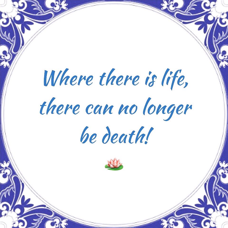 AlexKleinNL's tweet photo. May you learn to see all different combinations …
#life #love #health #enlightenment #sprituality @NDevidar https://t.co/fHl0FDSMcO