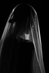 ديوتيما🌼 tweet media