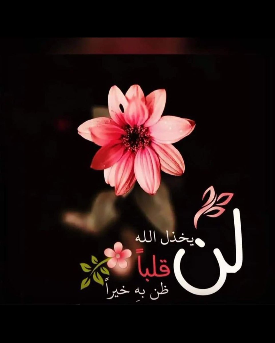 #قروبات_نجوم_الدعم_والاضافات
دُعَـمِ <a href="/m_saad66/">Dr.Mahmoud</a>
⚔️@sum_2022
⚔️<a href="/Saleh_talleb/">S. T. س ل ا /م ا ت.</a>
⚔️<a href="/B_2jjj/">Bejad 💙🇦🇹</a>
⚔️<a href="/Nevertitivip/">Ojjo الخاص 🚫 ⛔️</a>
⚔️<a href="/Mahmoud67804055/">mah68</a>
⚔️<a href="/ar___81/">فرز قروب الفهد #نشط #اتابع_الجميع</a>
⚔️<a href="/rak__413/">تاريخنا السعودي العظيم</a>
⚔️<a href="/Riad_011/">Riad</a>
⚔️<a href="/Lea_Dhai/">🦉𝘗𝘳𝘪𝘯𝘤𝘦𝘴𝘴 𝘓𝘦𝘢𝘩🎖𝟭𝟲𝟬𝗞🌞</a>
⚔️@m_b_s_99
⚔️<a href="/aladine05/">🅰️LADINE</a>
⚔️<a href="/1_mido1/">ميدو</a>
⚔️<a href="/matigy_party/">ام سعود</a>
<a href="/id_moly1/">شركه تنظيف سجاد بالرياض غسيل شقق منازل فرش بيوت فل</a>
<a href="/al_njom_groups/">@al_njom_groups</a>