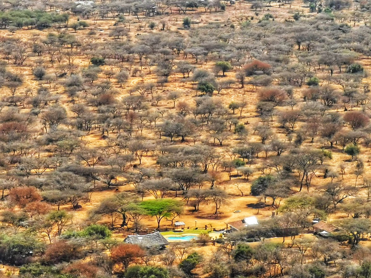 AlphaLandRover's tweet photo. Breakfast, Morning hike - for the aerial view, Swim, Eat (keep repeating last two 🏊🍲 )
#TembeaKenya #Magicalkenya
#Drive47 #Overland #Overlanding
#kichakacamp 📌 https://t.co/8MjT3gDEzM