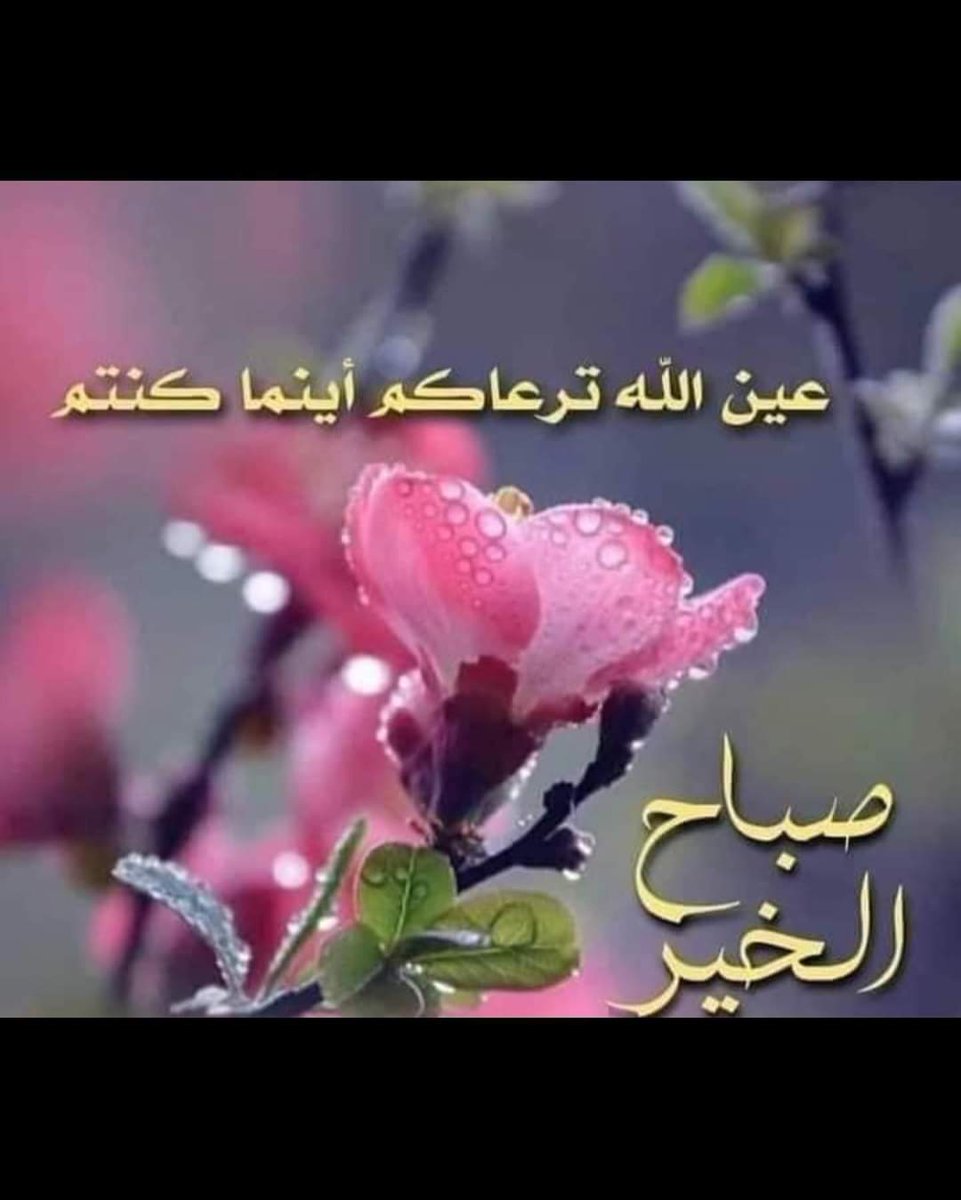 #قروبات_نجوم_الدعم_والاضافات   
🏅<a href="/mah232343081/">Mah</a>
🏅<a href="/M62687551/">🇮🇶❤️🇮🇶ENG.MOHAMMED 1 🇮🇶❤️🇮🇶</a>
🏅<a href="/beautiful25soul/">💖 جميلة الروح 💖</a>
🏅<a href="/m_saad66/">Dr.Mahmoud</a>
🏅<a href="/Saleh_talleb/">S. T. س ل ا /م ا ت.</a>
🏅<a href="/lololiveto/">💜عۣۗـۙيۣۗوۣنۣۗ آلَقۣۗـۙلَبۣۗ💜</a>
🏅@m_b_s_99
🏅<a href="/Nevertitivip/">Ojjo الخاص 🚫 ⛔️</a>
🏅@danyh4414
🏅<a href="/8_m_1/">🌸𝓜𝓪𝓻𝓲𝓪𝓶 🌸</a>
🏅<a href="/aladine05/">🅰️LADINE</a>
🏅<a href="/MnartWdad/">وداد منارة الحياة</a>
🏅@So3bhy
🏅<a href="/8_v_v/">𝑵𝒆𝒔𝒎𝒂 ツ</a>
🏅<a href="/Aeeee511/">‏اوتــً ا ر حســ ًا س</a>
🏅<a href="/1kyani/">شركة مكافحة حشرات بالرياض /0559895587</a>
🏅<a href="/azi_5454/">عبدالعزيز بن ابراهيم</a>
<a href="/N1_0n0/">Eng:🐝Na7ola:{ نهوله 🐝</a>
<a href="/N0r_8/">N0r</a>
<a href="/yne_mm_/">رائد الجهني</a>