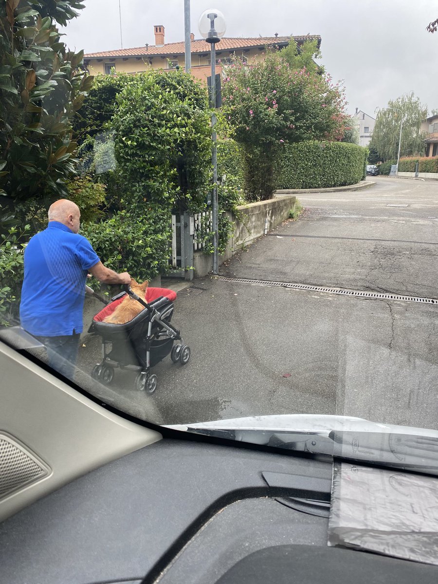 Non sarebbe male “stare da cani”