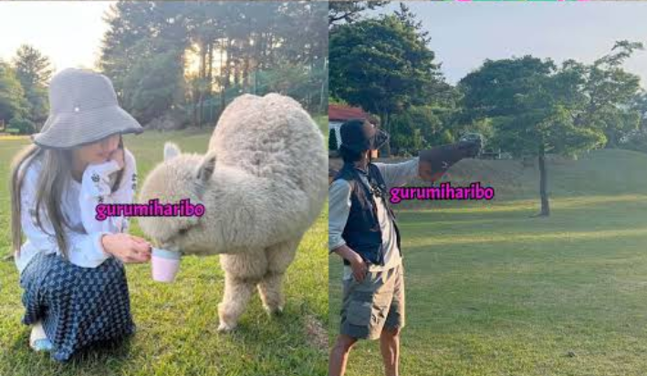 Iclickforfun1's tweet photo. No one calls these two unseen pictures edited.Where they took their couple pictures in the same place and in the same outfit. But the picture taken together is called an edit😂why? 
#taennie #blackpink #KimTaehyung #JENNIE #gurumiharibo #taennieisreal https://t.co/PnBB0pI9rc