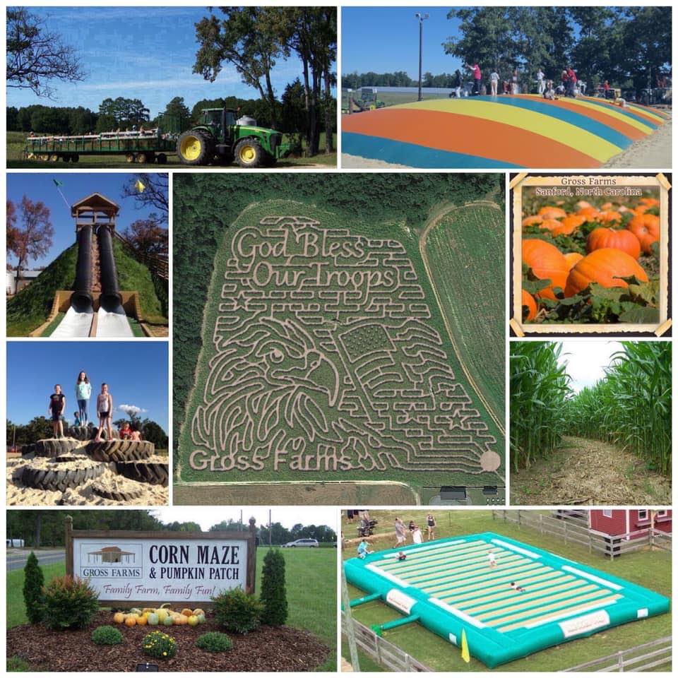 2️⃣0️⃣2️⃣2️⃣  #GrossFarms #Fall #Agritourism Season is here!! 🍁🎃🍃🍂🧡
Gross Farms #CornMaze &amp; #PumpkinPatch 
Dates of Operation: 
September 17th-October 30th 
Business Hours:
Friday 4PM-8PM (October ONLY)
Saturday 11AM-8PM
Sunday 11AM-5PM  
grossfarms.com
 #visitncfarms