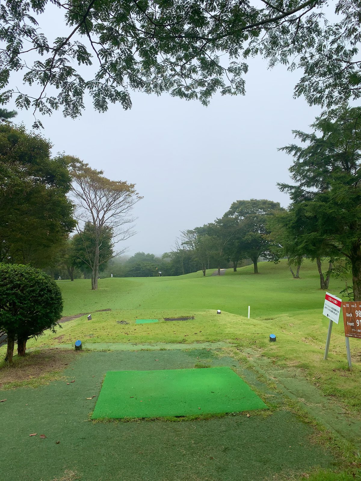 かめやす Kameyasu Twitter