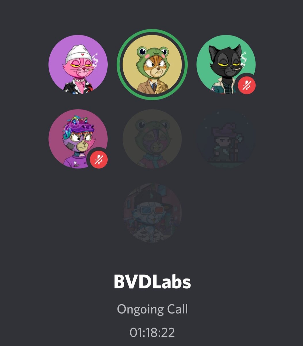 BVDCAT_'s tweet image. Bullish on teams that build at all hours.