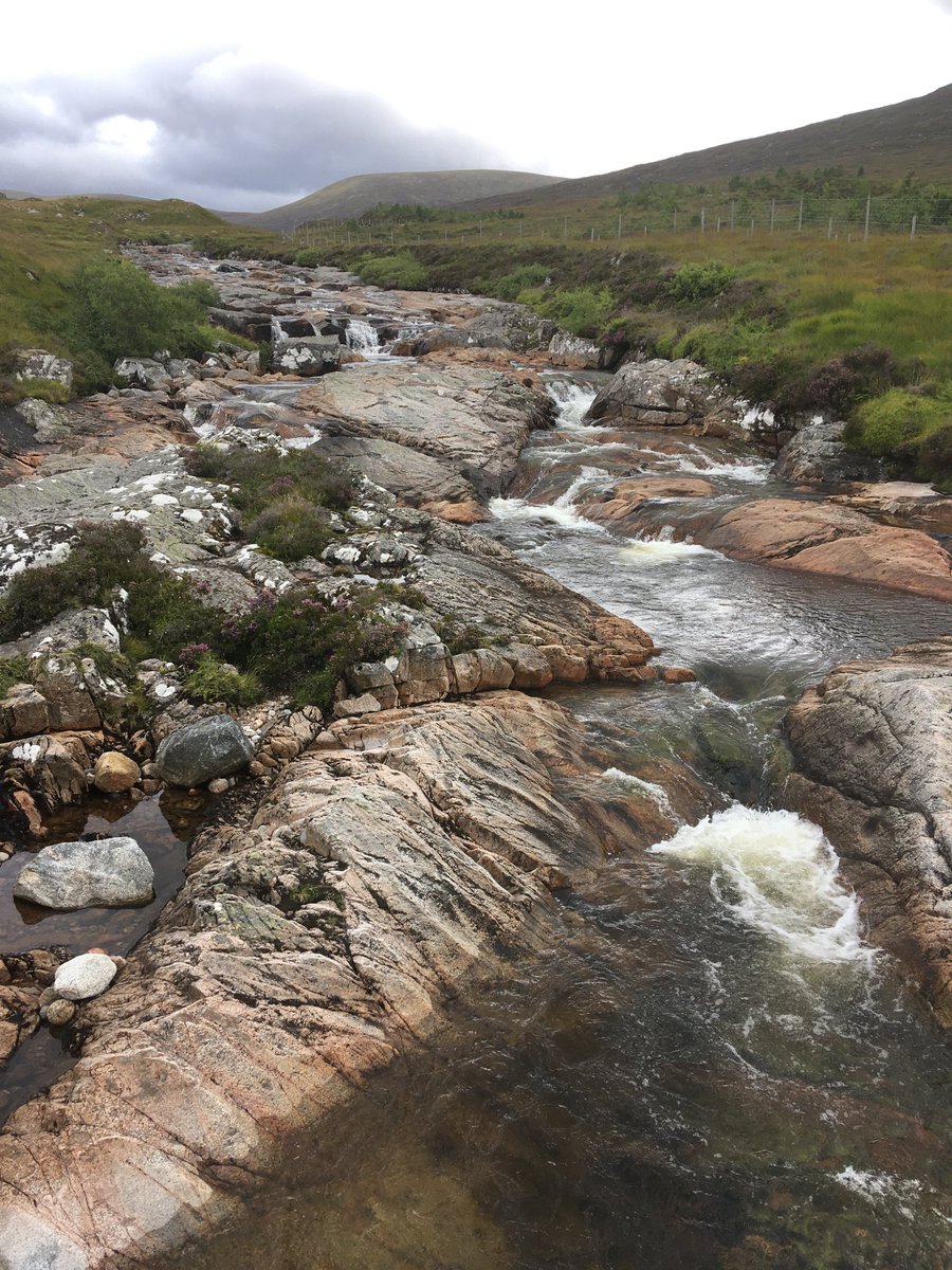 fluitans's tweet photo. Happy #WorldRiversDay to all the freshwater champions, scientists, rewigglers, swimmers, paddlers, anglers… https://t.co/mPIwruoLel