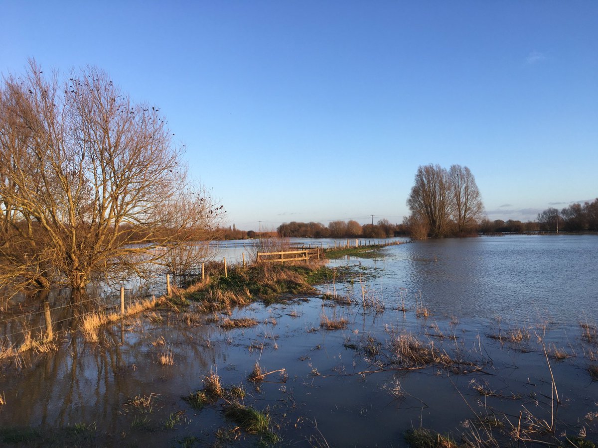 fluitans's tweet photo. Happy #WorldRiversDay to all the freshwater champions, scientists, rewigglers, swimmers, paddlers, anglers… https://t.co/mPIwruoLel