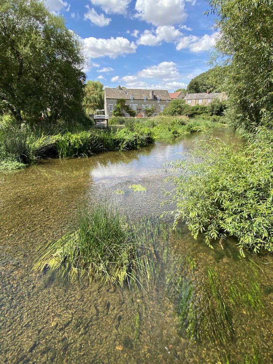 fluitans's tweet photo. Happy #WorldRiversDay to all the freshwater champions, scientists, rewigglers, swimmers, paddlers, anglers… https://t.co/mPIwruoLel