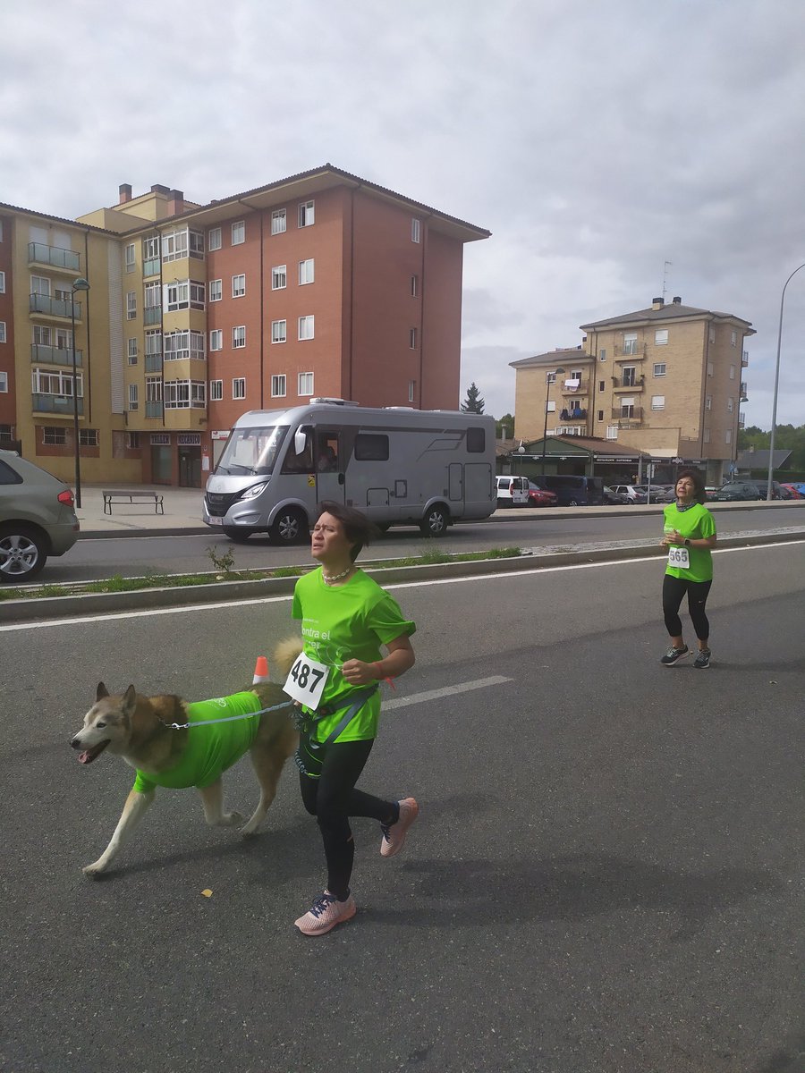 Msol59's tweet photo. Algunos periodistas, escritores con  #MalaBaba🐌 con su s familias😊🫶🏾,perritos🐕‍🦺🐾🐾😃Todo #Ávila colaborando en #LuchaContraElCáncer 💪🏾💪🏾😊🫶🏾👏🏾👏🏾👏🏾👏🏾 https://t.co/T4EAjZ1N3t