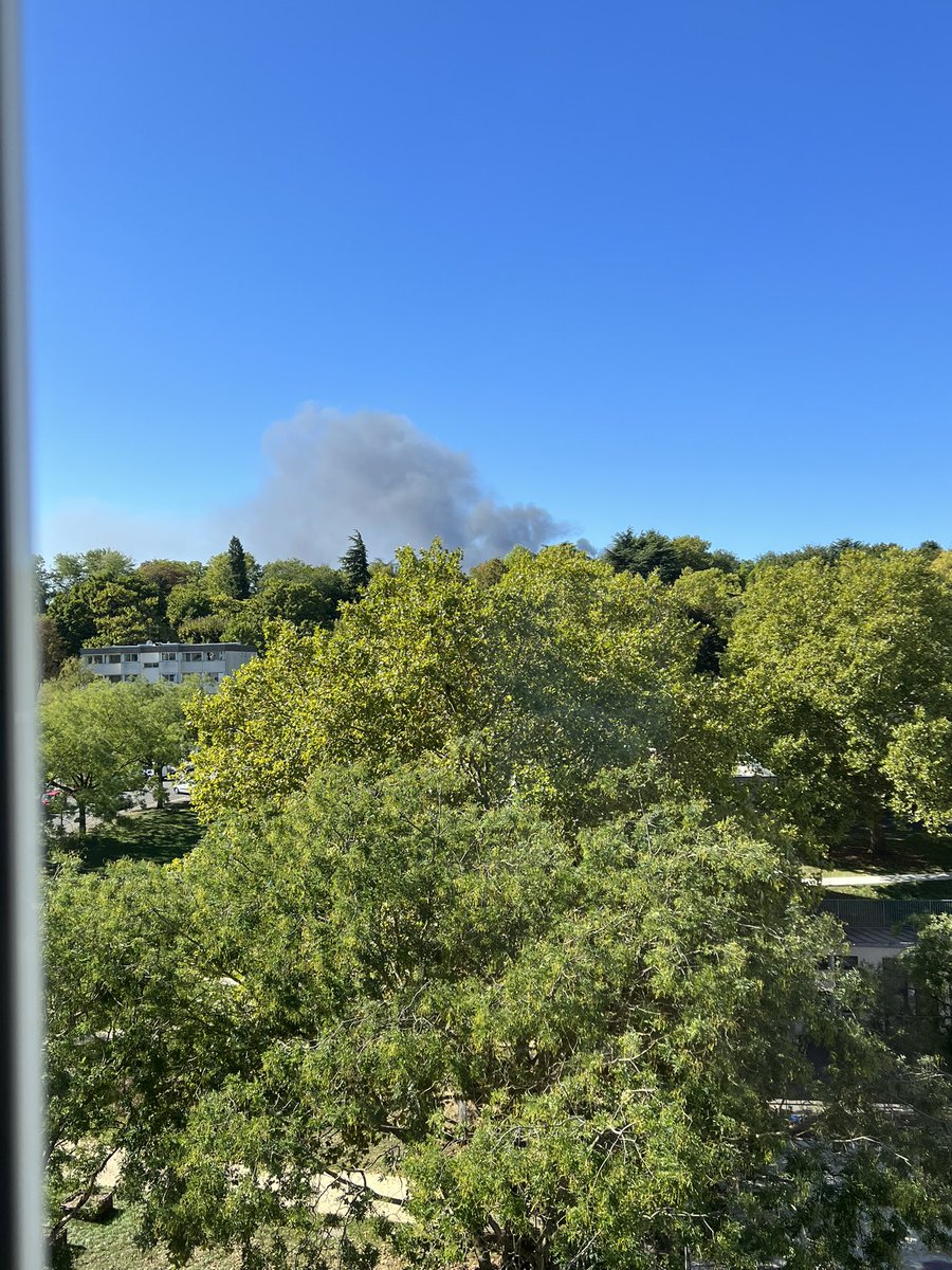 pacafou94's tweet photo. Un incendie a VITRY ? Derrière le parc des blondeaux https://t.co/HRvMD7GXE3