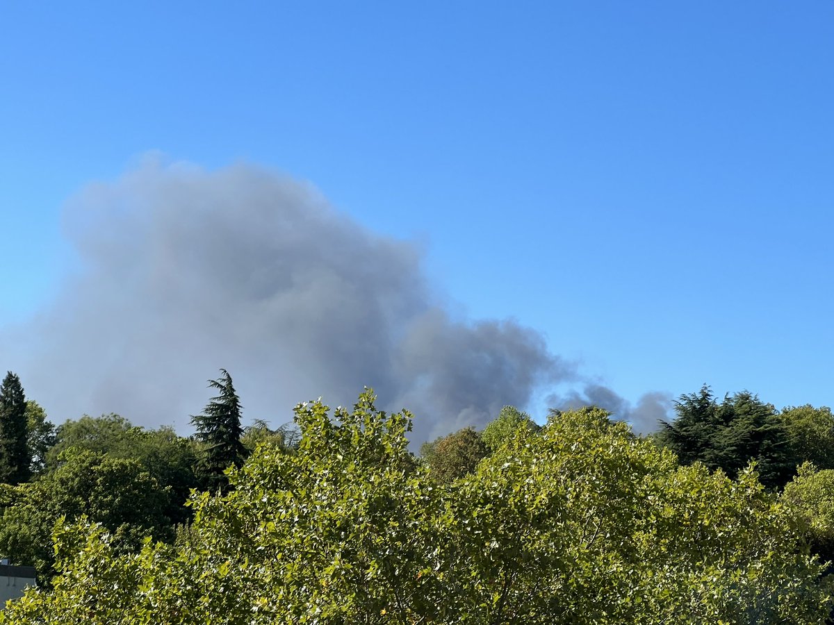 pacafou94's tweet photo. Un incendie a VITRY ? Derrière le parc des blondeaux https://t.co/HRvMD7GXE3