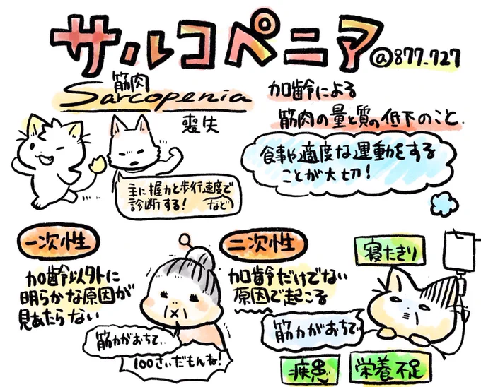 【サルコペニアについてメモ】
いわゆる「寝たきり」を予防することについての言葉たち(老年看護や介護などの分野で知ってほしいところ)

サルコペニア:加齢による筋肉の量と質の低下のこと
ポイント:フレイルの要因としてサルコペニアがある 