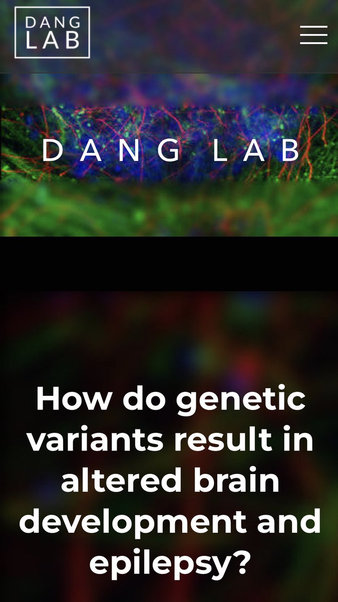 Louis Dang tweet media