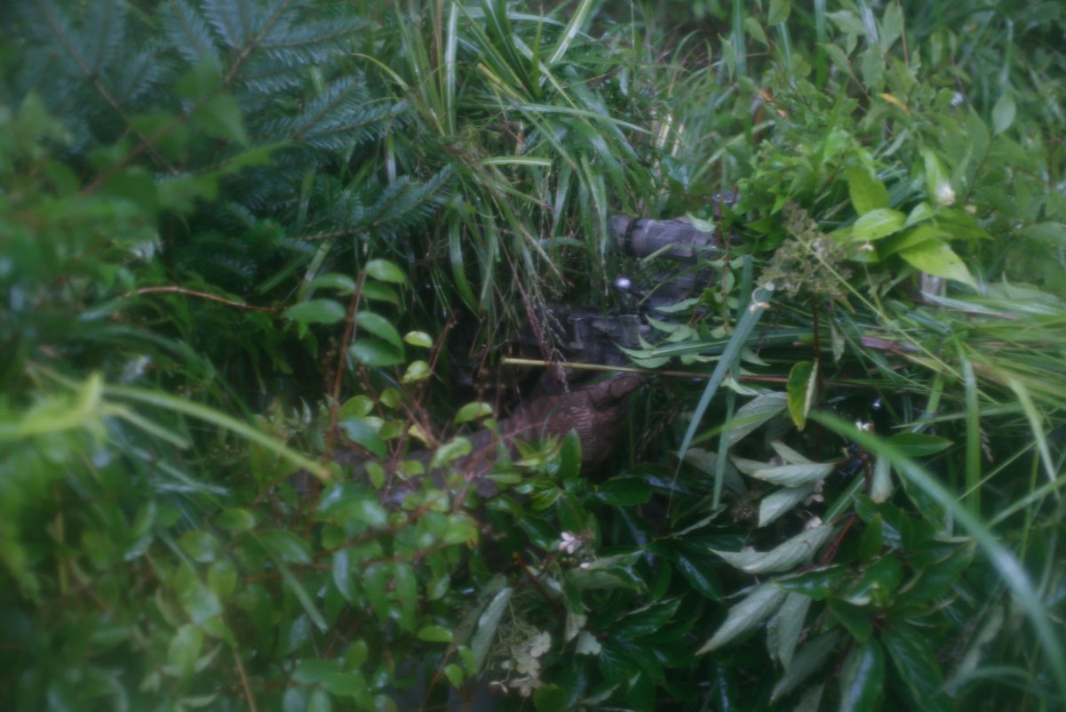 Snipers with 3rd Battalion, 3rd Marines sight in from a concealed position during Fuji Viper 22.5 at @catc_campfuji, Japan. 

#ReadyToFightNow 
#USMC