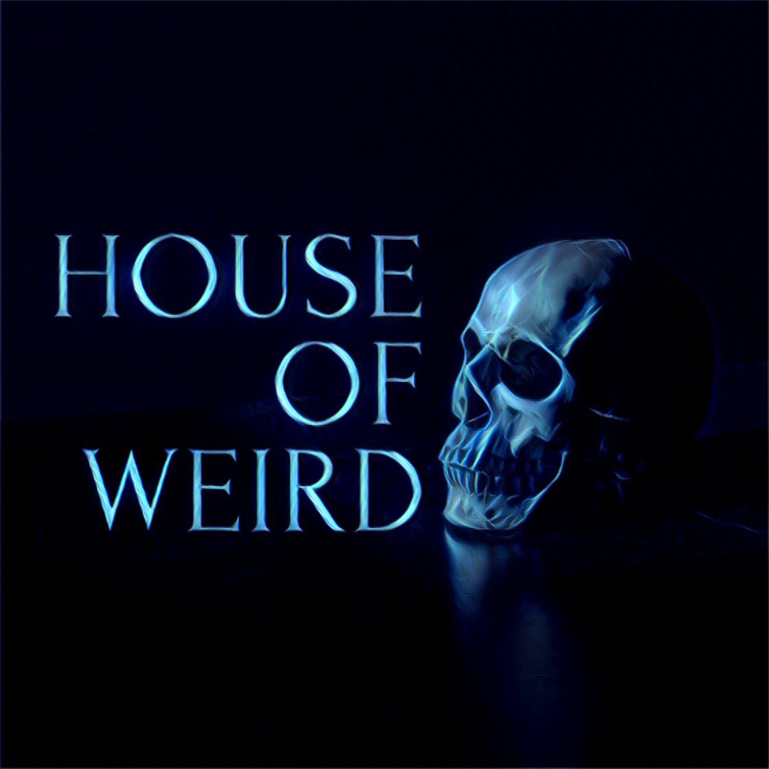 HouseOfWeirdPod's tweet photo. Everyone’s got that story, the one they can’t explain…
Weird lights in the sky 🛸 
Doors that close on their own 👻 
That huge cat you saw in the bush 🐆 
We want to hear those stories, send them to houseofweirdpod@gmail.com or send them to us in a DM.
#paranormal #podcast https://t.co/fIR1MEUPme