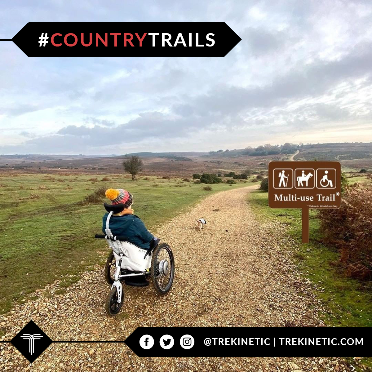 Trekinetic tweet media