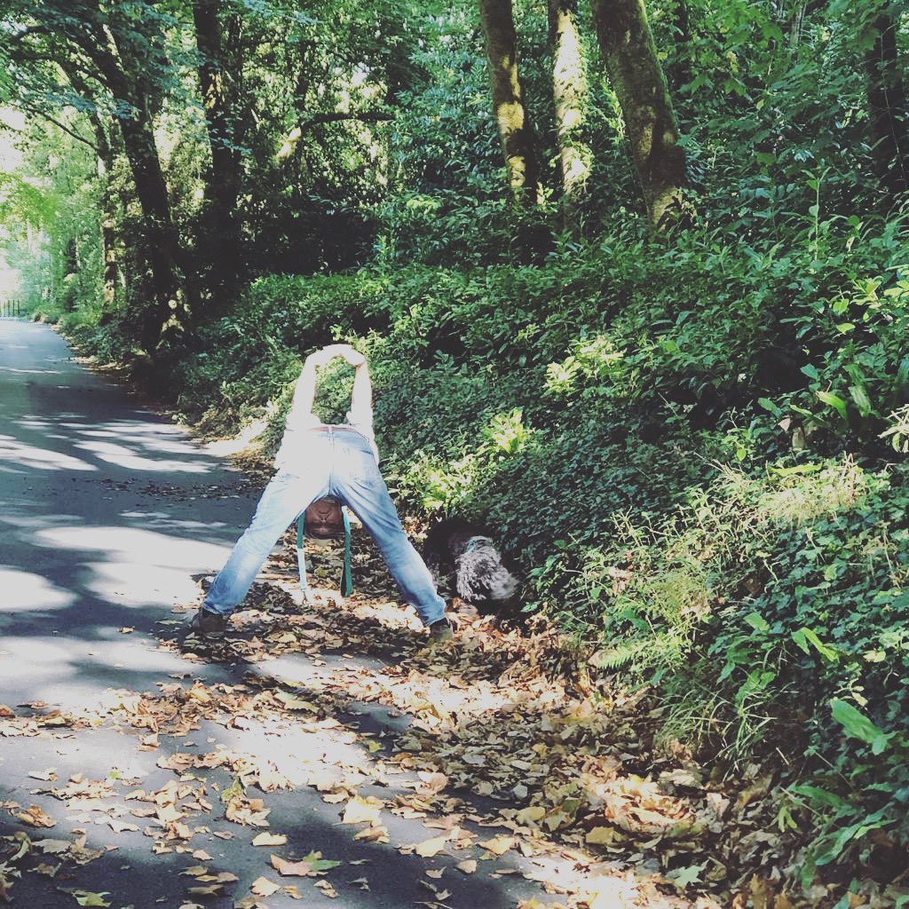 Friendly All Ability weekly Yoga class at St Lukes Buckfastleigh in hall at back - Weds 7.30pm - 8.30pm - drop ins welcome #yoga #buckfastleigh #yogaclass #exercise #facetoface #ashburton #southdevon @BeBuckfastleigh <a href="/BflCouncil/">BuckfastleighCouncil</a> <a href="/bflpool/">Buckfastleigh Pool</a> <a href="/VisitBuckfastl1/">Visit Buckfastleigh</a> <a href="/mdaupdates/">Mid-Devon Advertiser</a>