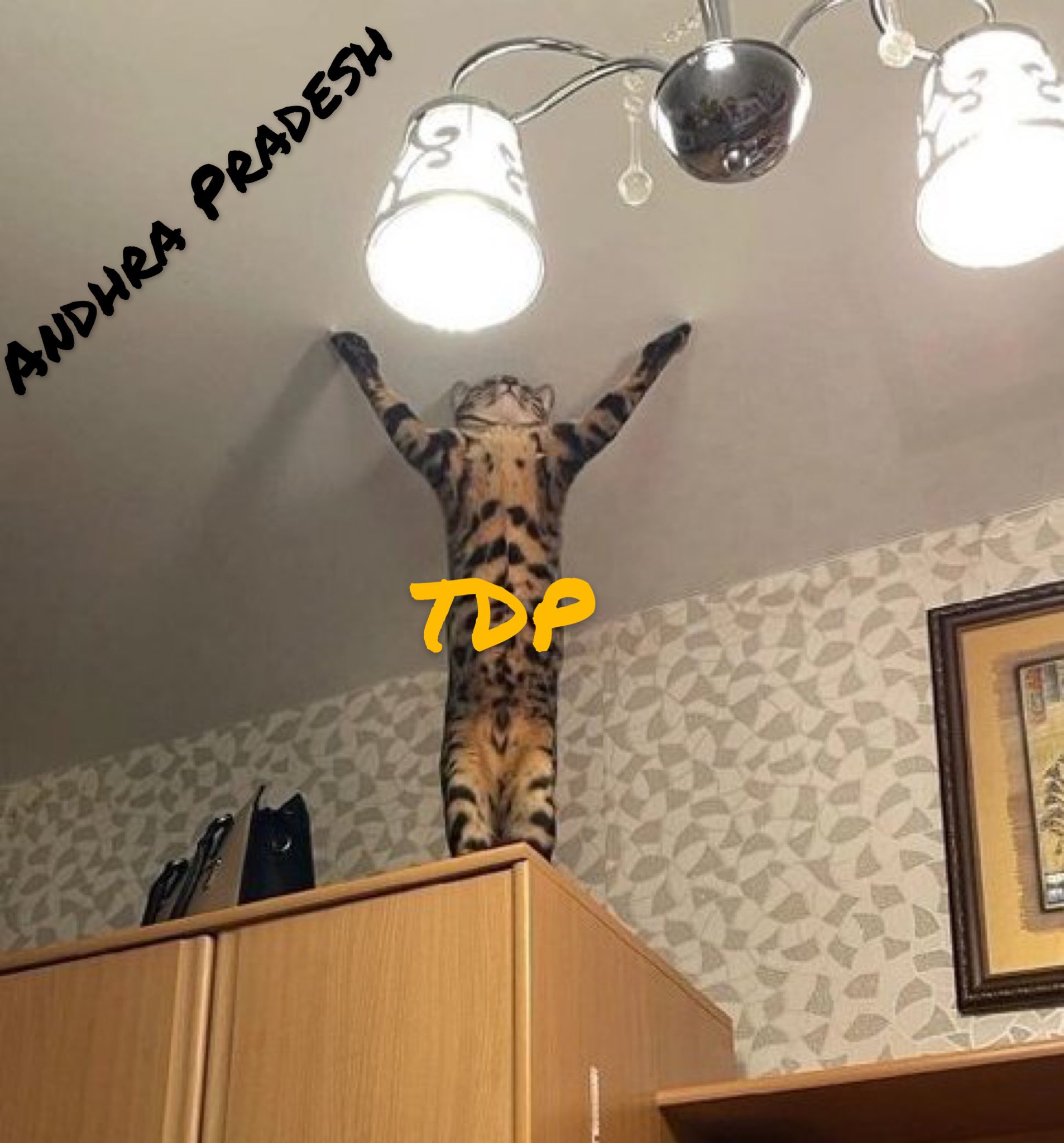 FdfwR-vacAULg5c?format=jpg&name=large