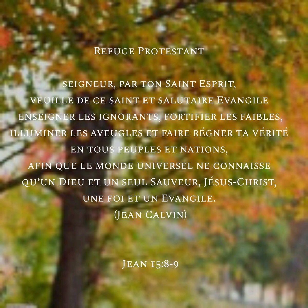 Ref_Protestant's tweet photo. Seigneur,par ton Esprit,veuille de ce saint&salutaire Evangile enseigner les ignorants,fortifier les faibles,illuminer les aveugles&faire régner ta vérité en ts peuples&nations,afin que le monde universel ne connaisse qu’un Dieu&seul Sauveur Christ,une foi&un Evangile #JCalvin https://t.co/6v5XtP399A