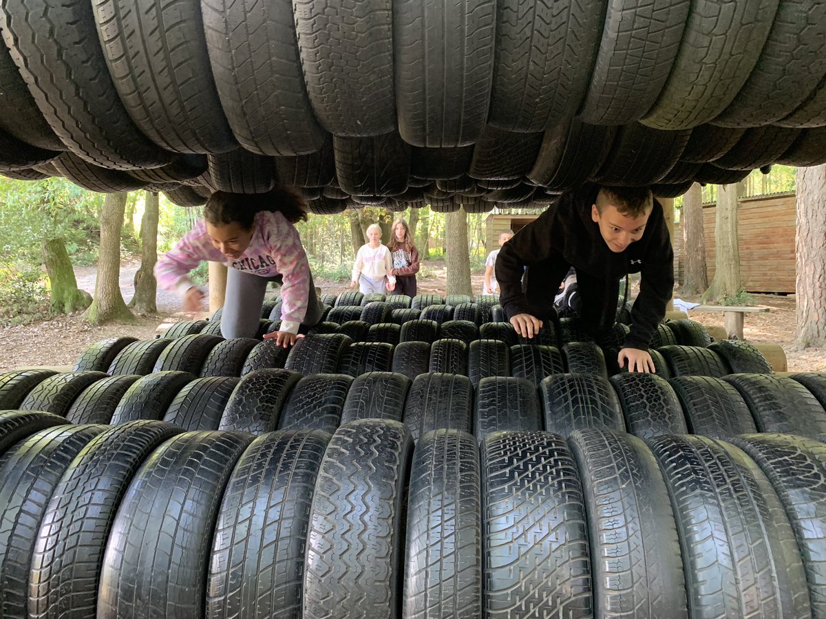 Barnwell Adventure tweet media