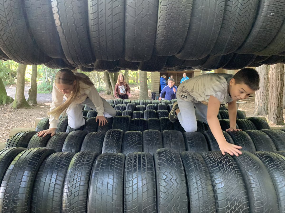 Barnwell Adventure tweet media