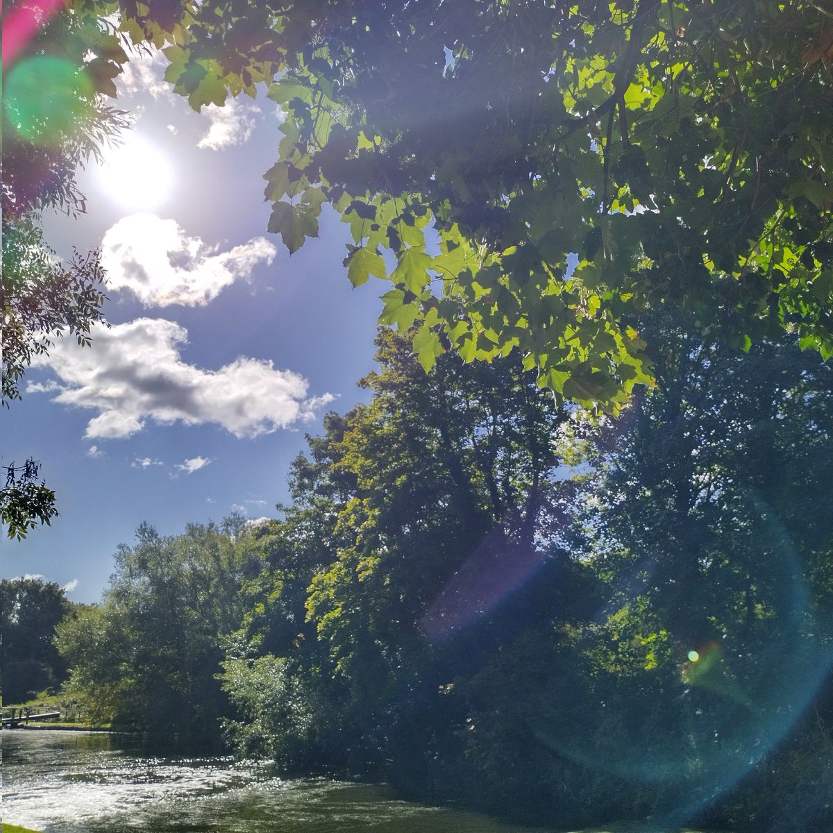 BookMinxSJV's tweet photo. The #hanwellflight showing off this morning. https://t.co/sM6ntMzM0d