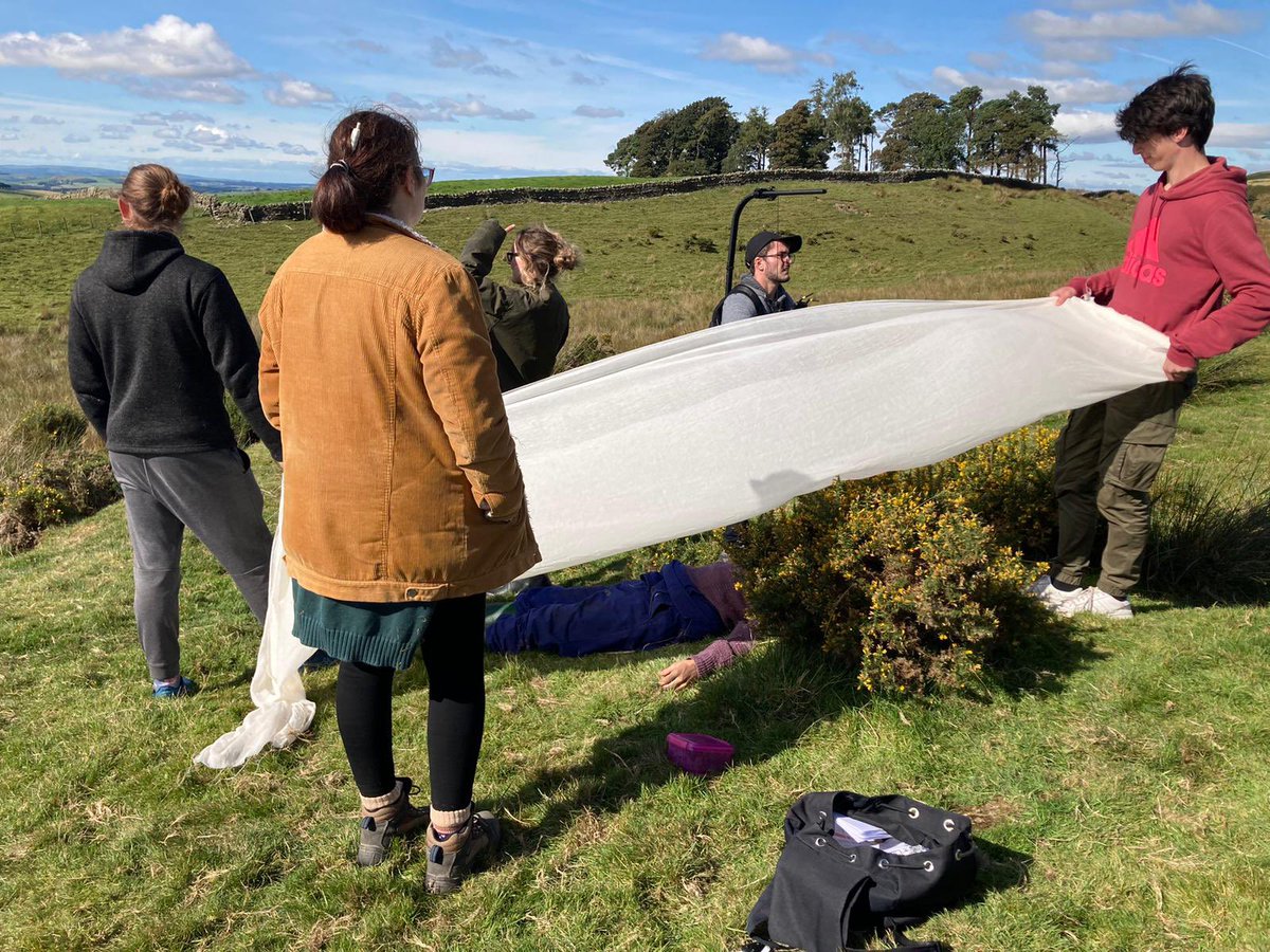 Our Charlie tweet media