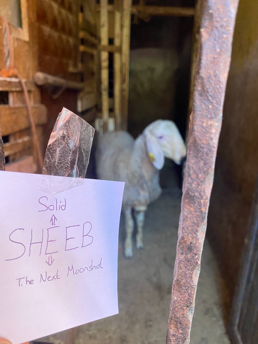Community is the key🗝

#SHEEB #Crypto #BNB #BSC #BSCGems #SheebInu #Trending #Binance #BLOCKCHAIN