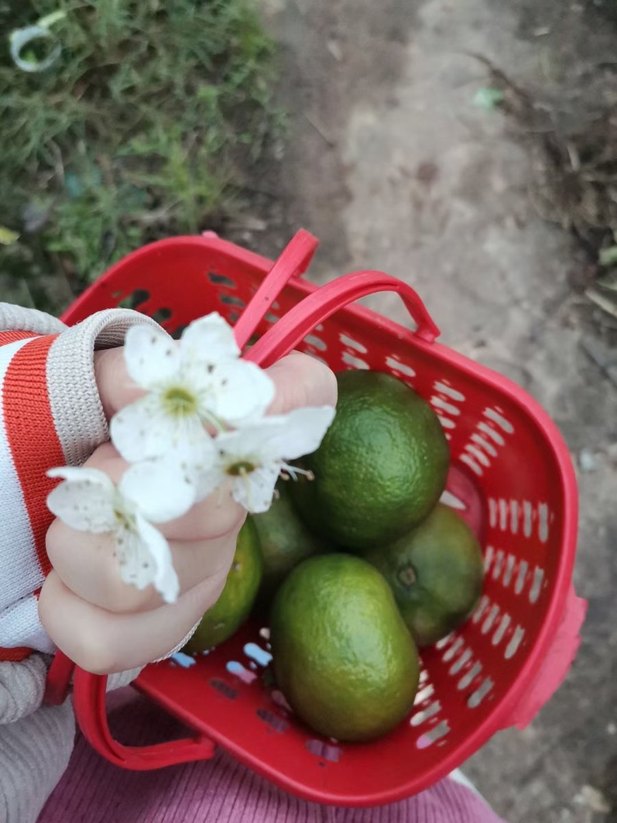 Liming523 tweet media