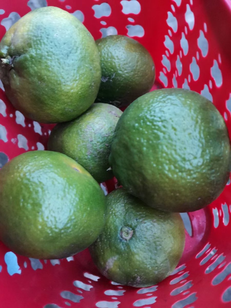 Liming523 tweet media