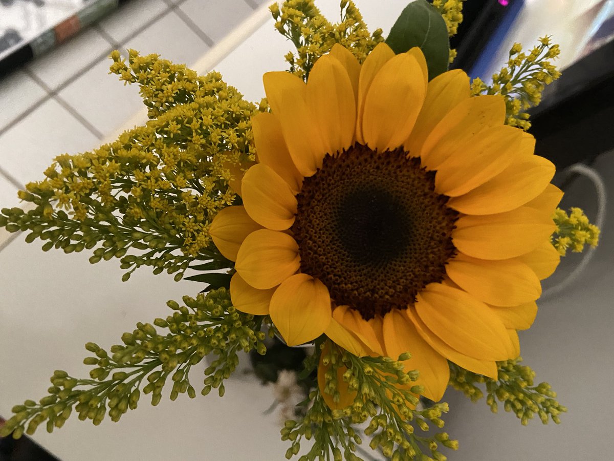 netinncorte's tweet photo. E nesta noite ainda ganhei minha flor preferida https://t.co/a4TUHKuujd