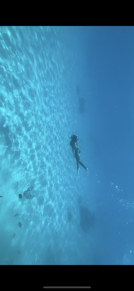 sarixrina's tweet photo. 🏝️🐢🛳️🐋 https://t.co/P3SnA7cwb5