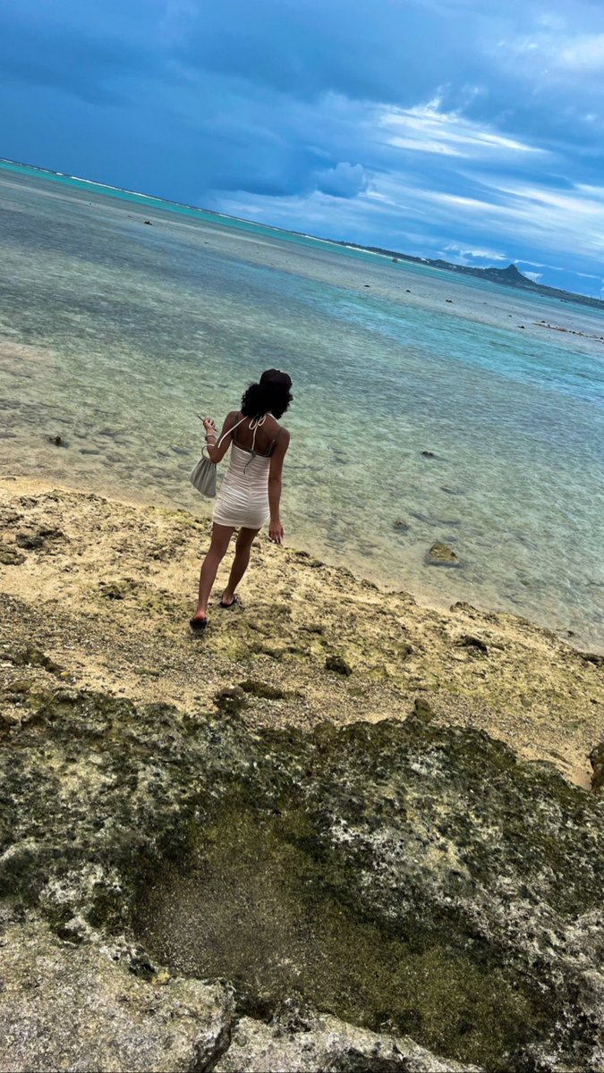 sarixrina's tweet photo. 🏝️🐢🛳️🐋 https://t.co/P3SnA7cwb5