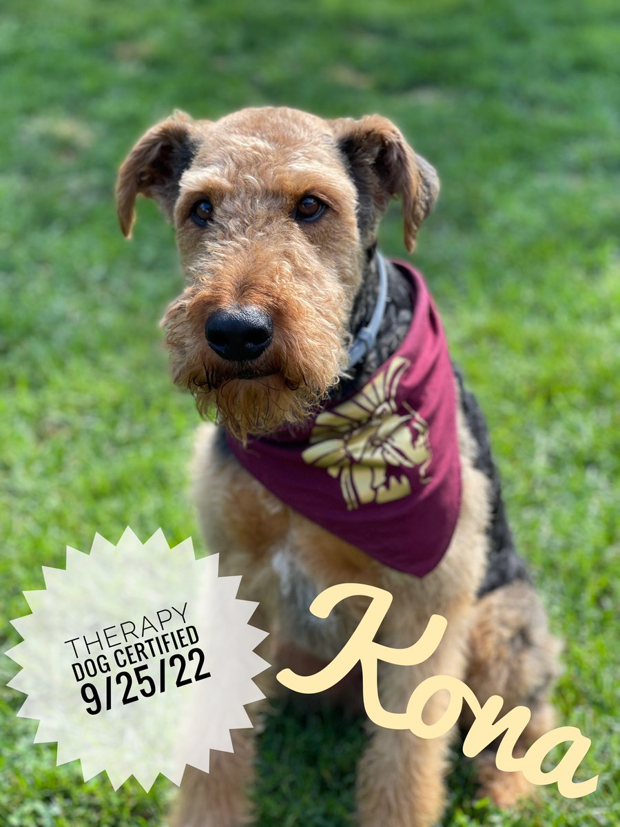 Kona joins the Therapy Dog team <a href="/CalAreaSD/">California Area School District</a>! #CaliforniaCan