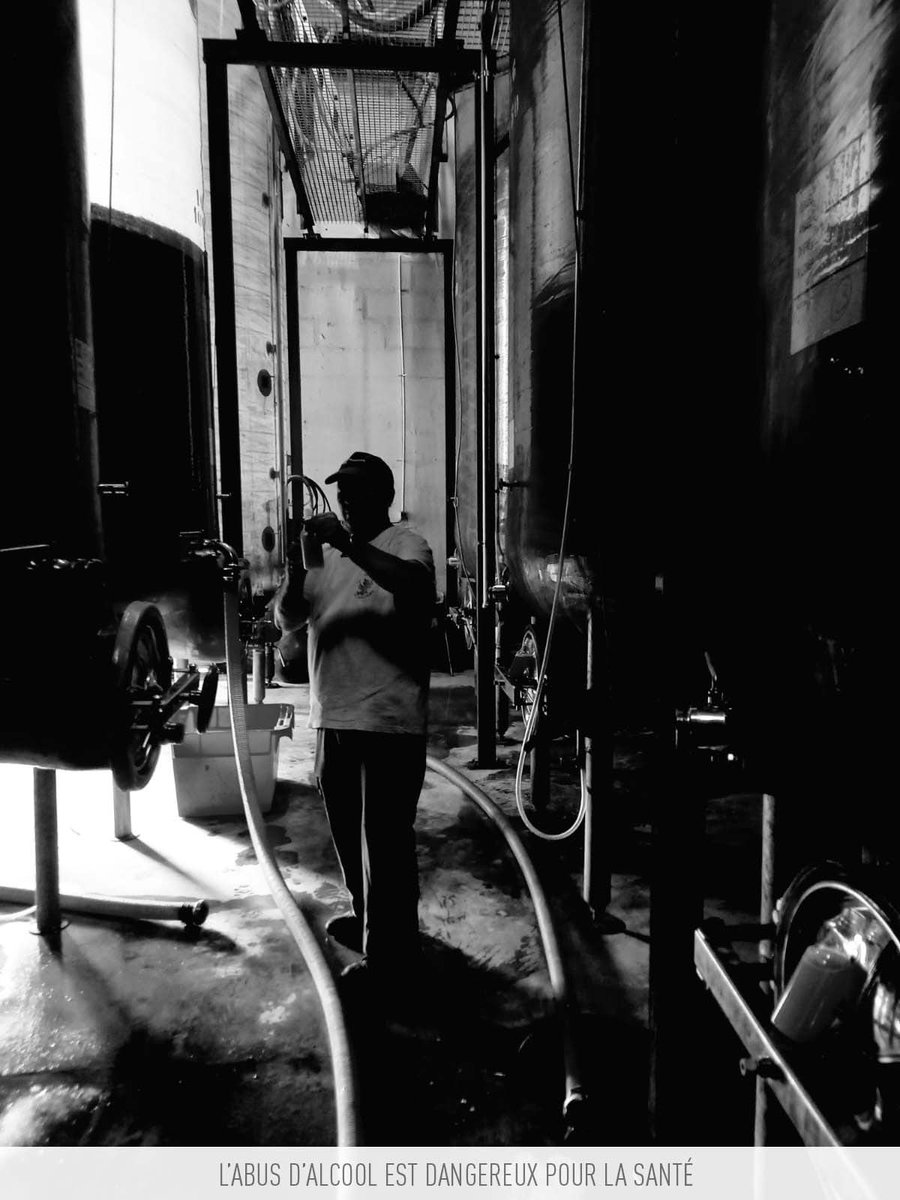 FORTANT_EN's tweet photo. #maisonfortant #fortant #vin #wine #winery #winemaker #winemaking #cellar #tastepaysdoc #paysdocigp https://t.co/Tz0zC8WA6P
