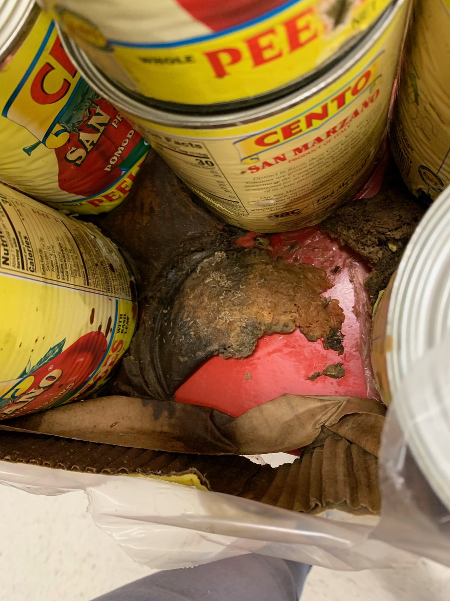 Springfield mall Target what is this?!?!?!? MAGGOTS this is grotesque I am appalled…… <a href="/Target/">Target</a> #springfieldmall #gross #target