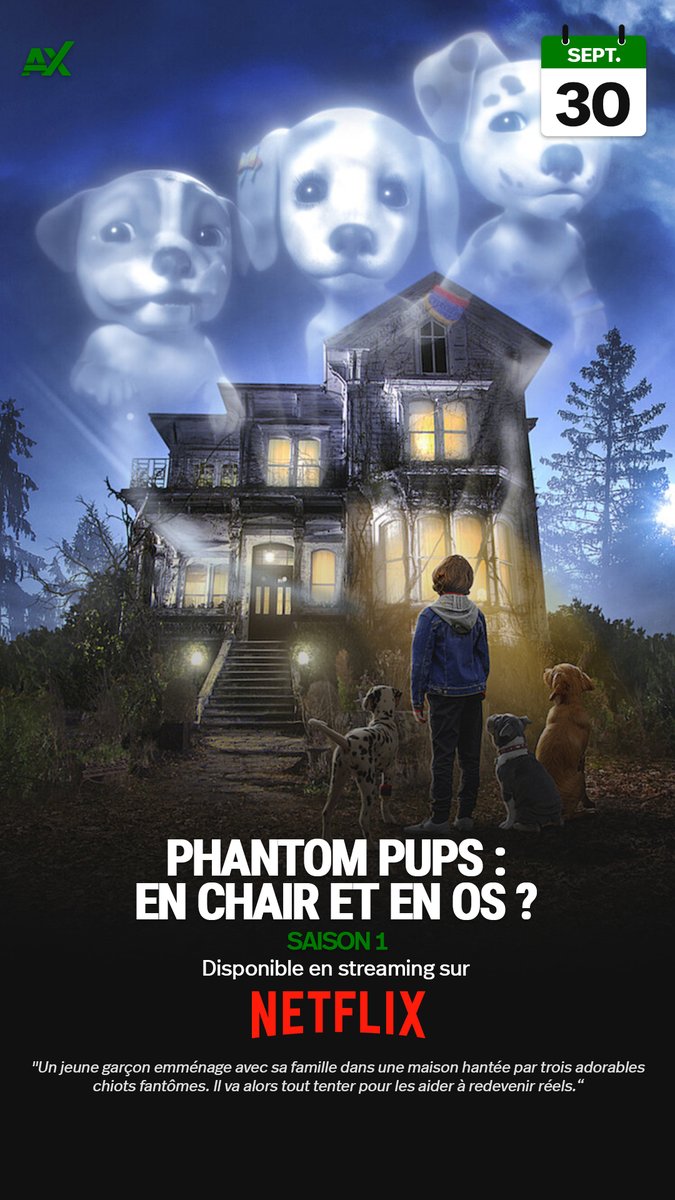 alxserix's tweet photo. La saison 1 de #PhantomPups : En chair et en os ? est dès maintenant disponible en streaming sur @NetflixFR.
"Un jeune garçon emménage avec sa famille dans une maison hantée par trois adorables chiots fantômes. Il va alors tout tenter pour les aider à redevenir réels."
#Netflix https://t.co/3HfcaveYl1