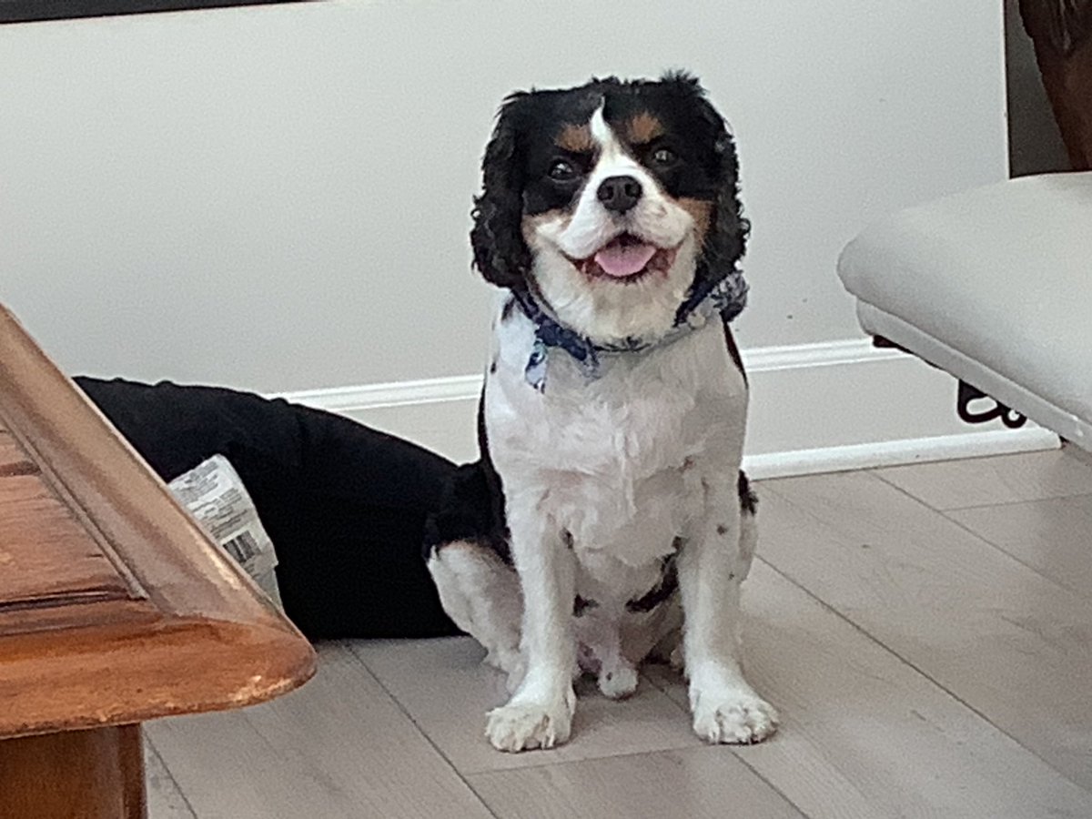 JonnyDeathRay tweet media