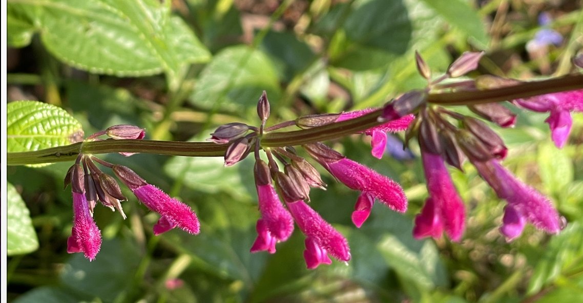 Cyndi Stivers tweet media