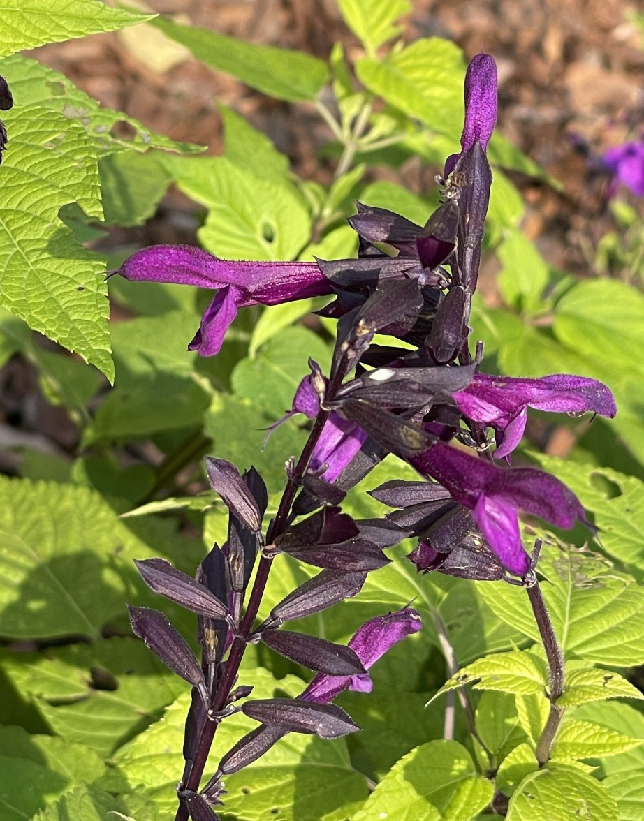 Cyndi Stivers tweet media