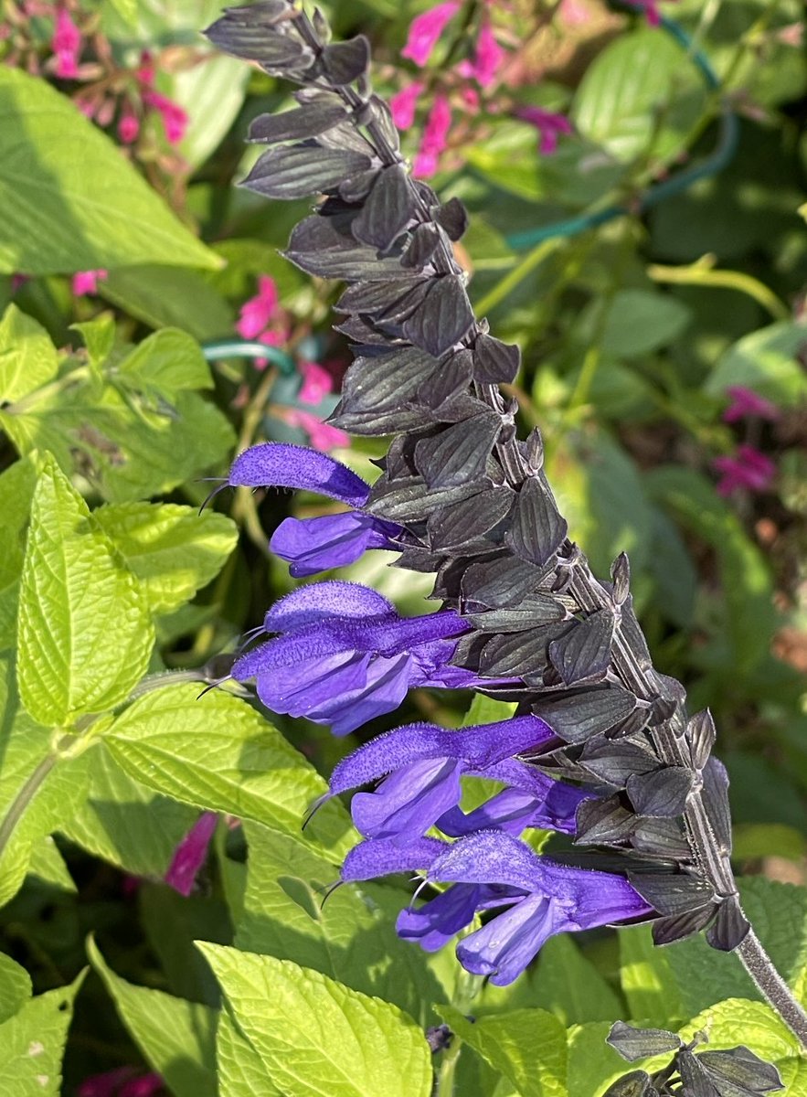 Cyndi Stivers tweet media